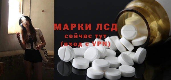 МДПВ Снежногорск