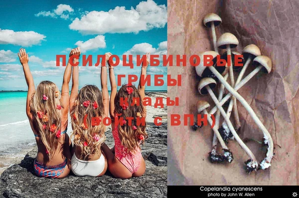 ECSTASY Балахна