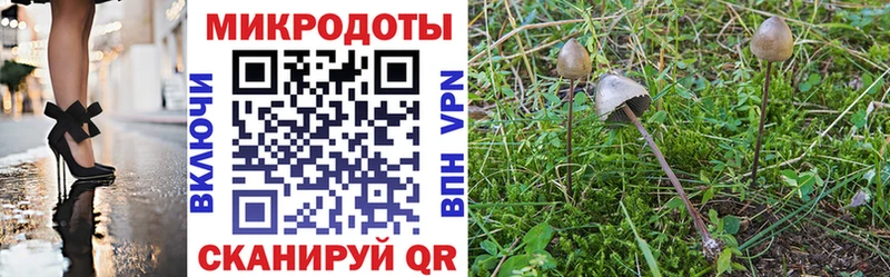 Галлюциногенные грибы Psilocybine cubensis  Ладушкин 